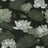 Bild von 